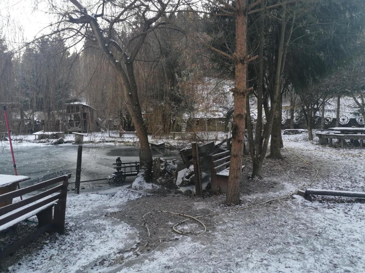 Pensiunea Perla Maramuresului Borşa Exteriér fotografie