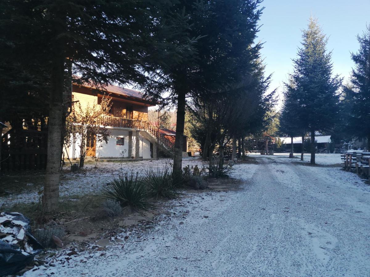 Pensiunea Perla Maramuresului Borşa Exteriér fotografie