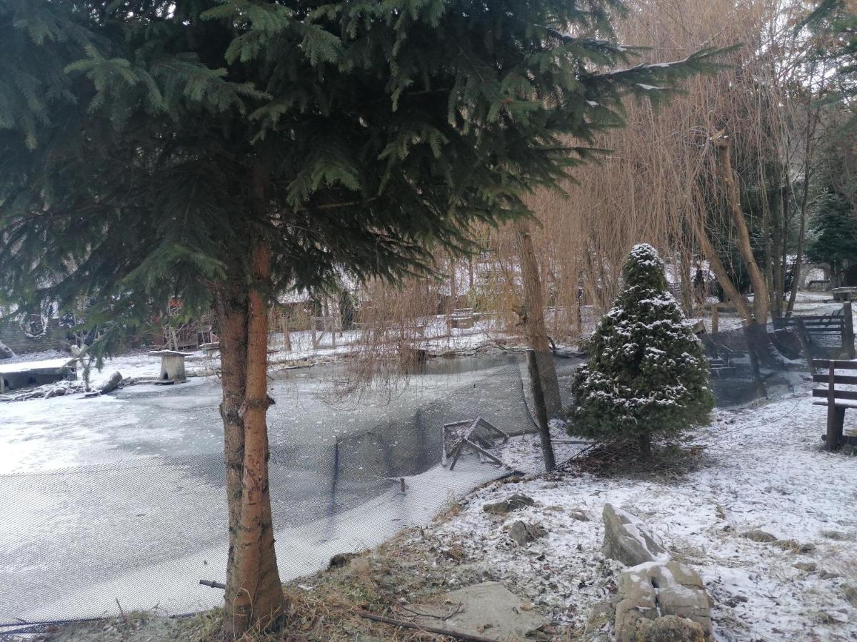Pensiunea Perla Maramuresului Borşa Exteriér fotografie