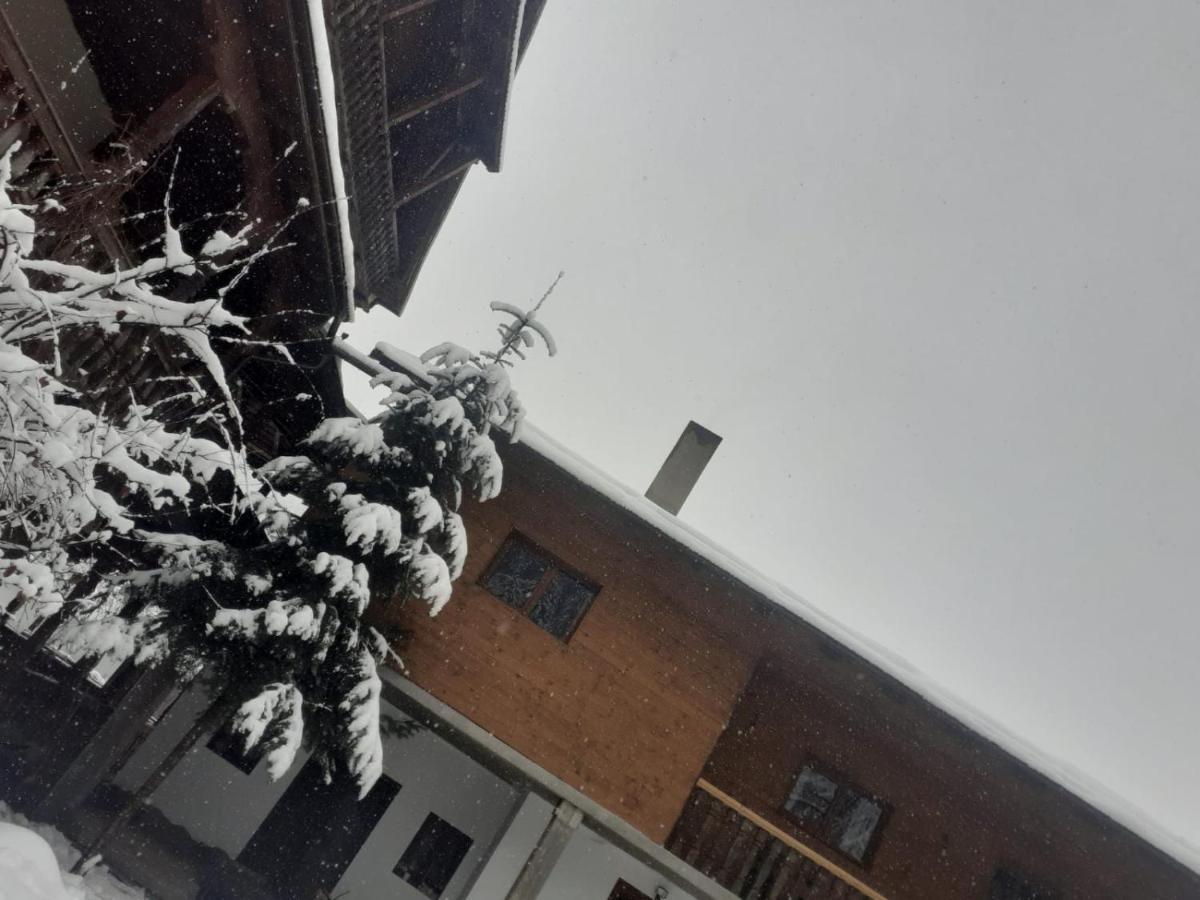 Pensiunea Perla Maramuresului Borşa Exteriér fotografie