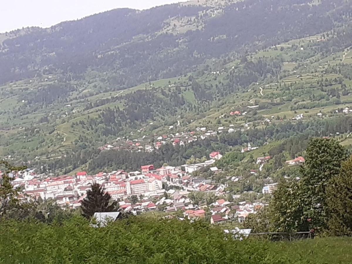 Pensiunea Perla Maramuresului Borşa Exteriér fotografie