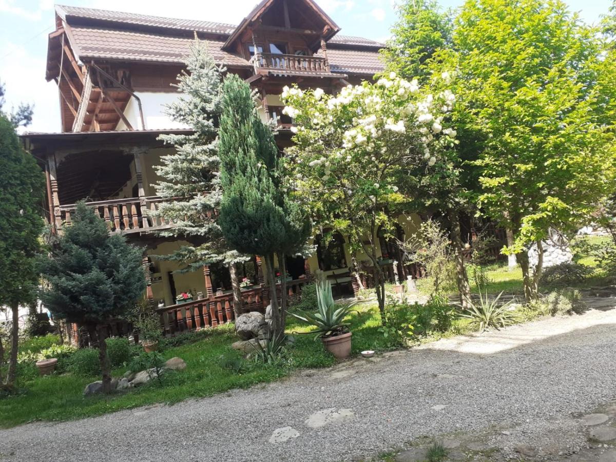 Pensiunea Perla Maramuresului Borşa Exteriér fotografie