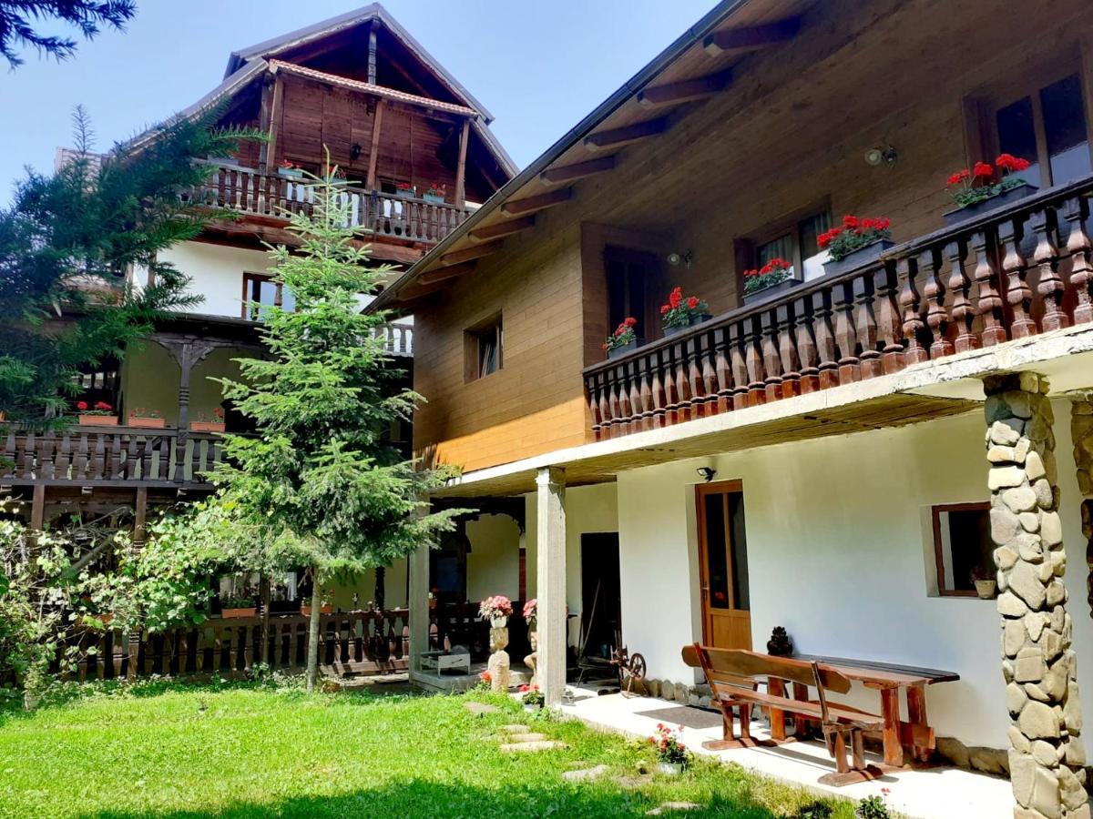 Pensiunea Perla Maramuresului Borşa Exteriér fotografie