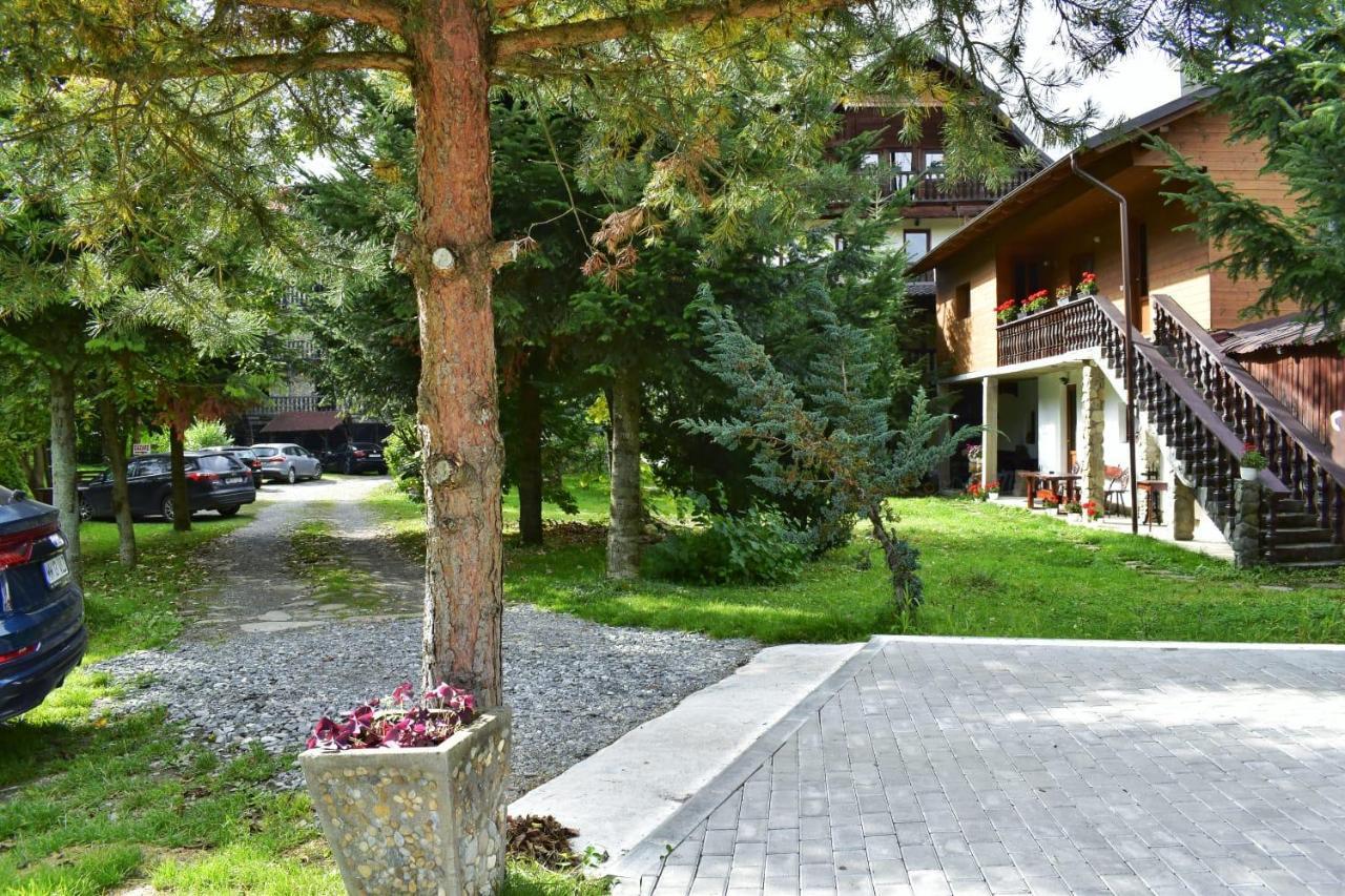 Pensiunea Perla Maramuresului Borşa Exteriér fotografie