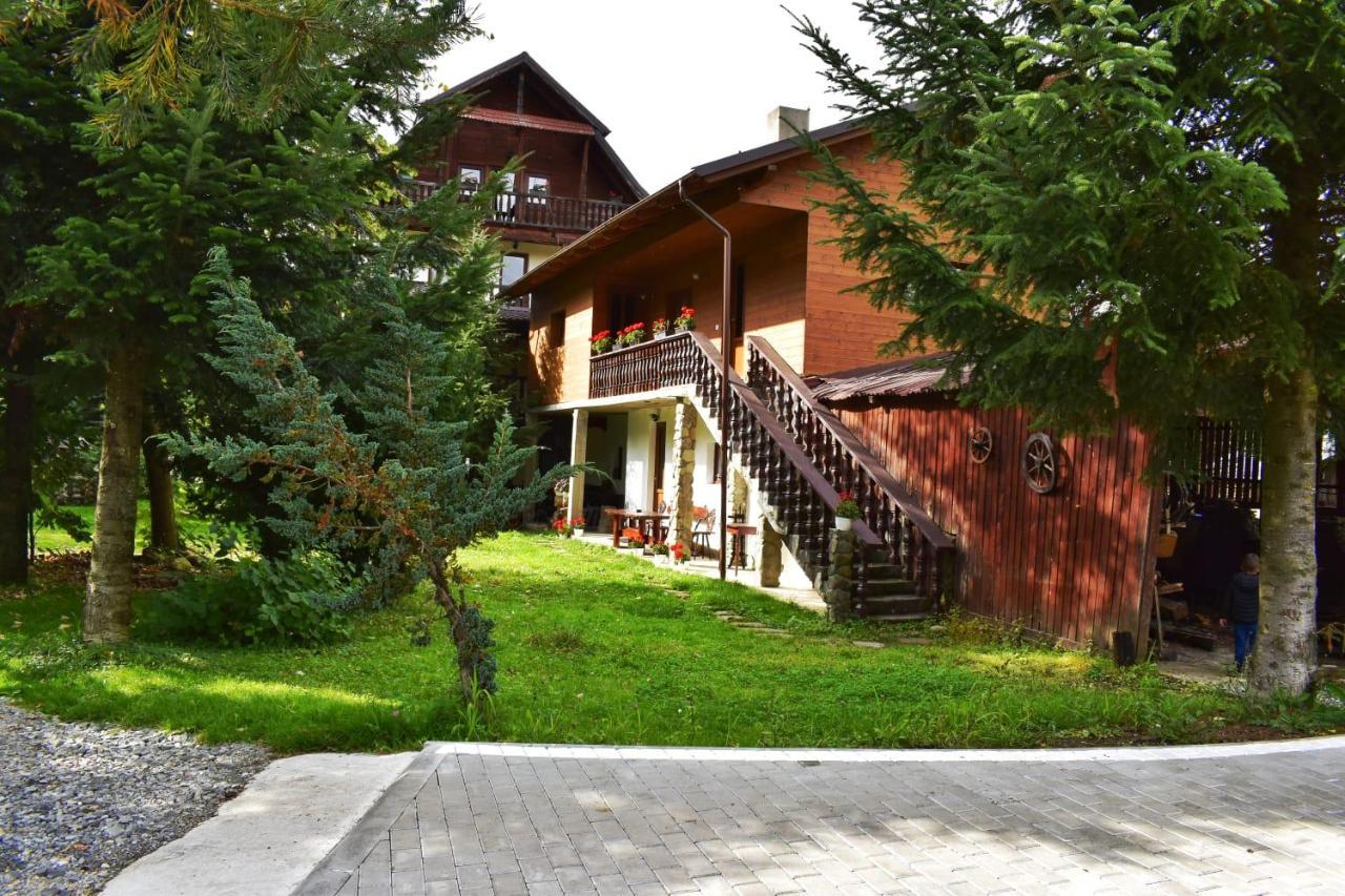 Pensiunea Perla Maramuresului Borşa Exteriér fotografie