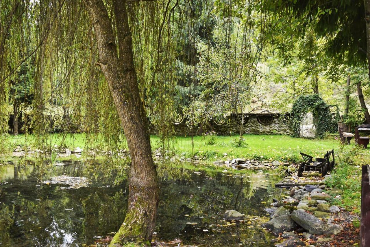 Pensiunea Perla Maramuresului Borşa Exteriér fotografie