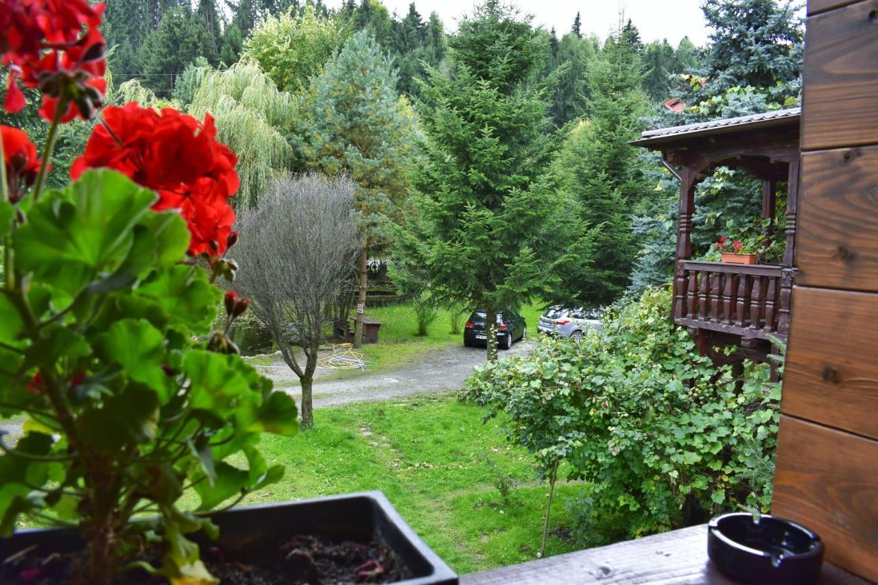 Pensiunea Perla Maramuresului Borşa Exteriér fotografie