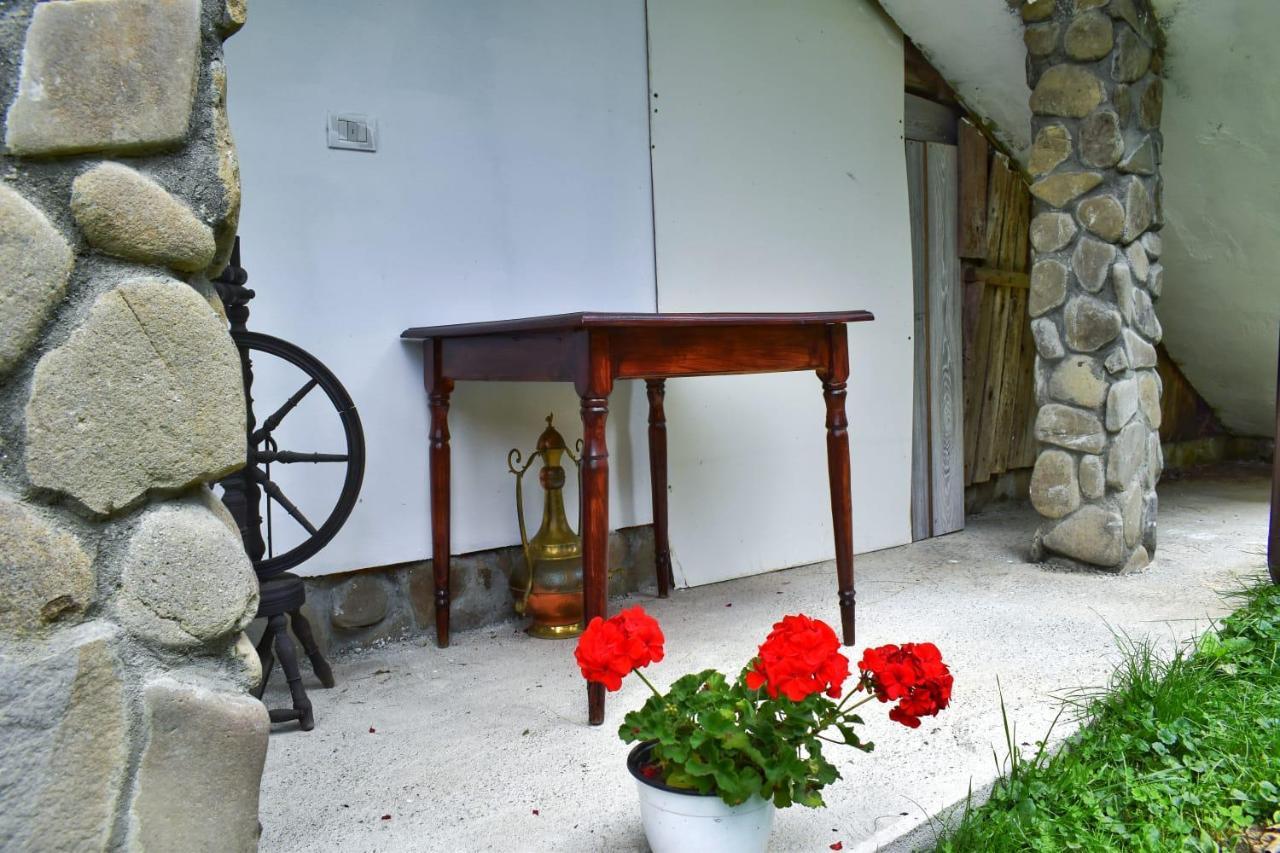 Pensiunea Perla Maramuresului Borşa Exteriér fotografie
