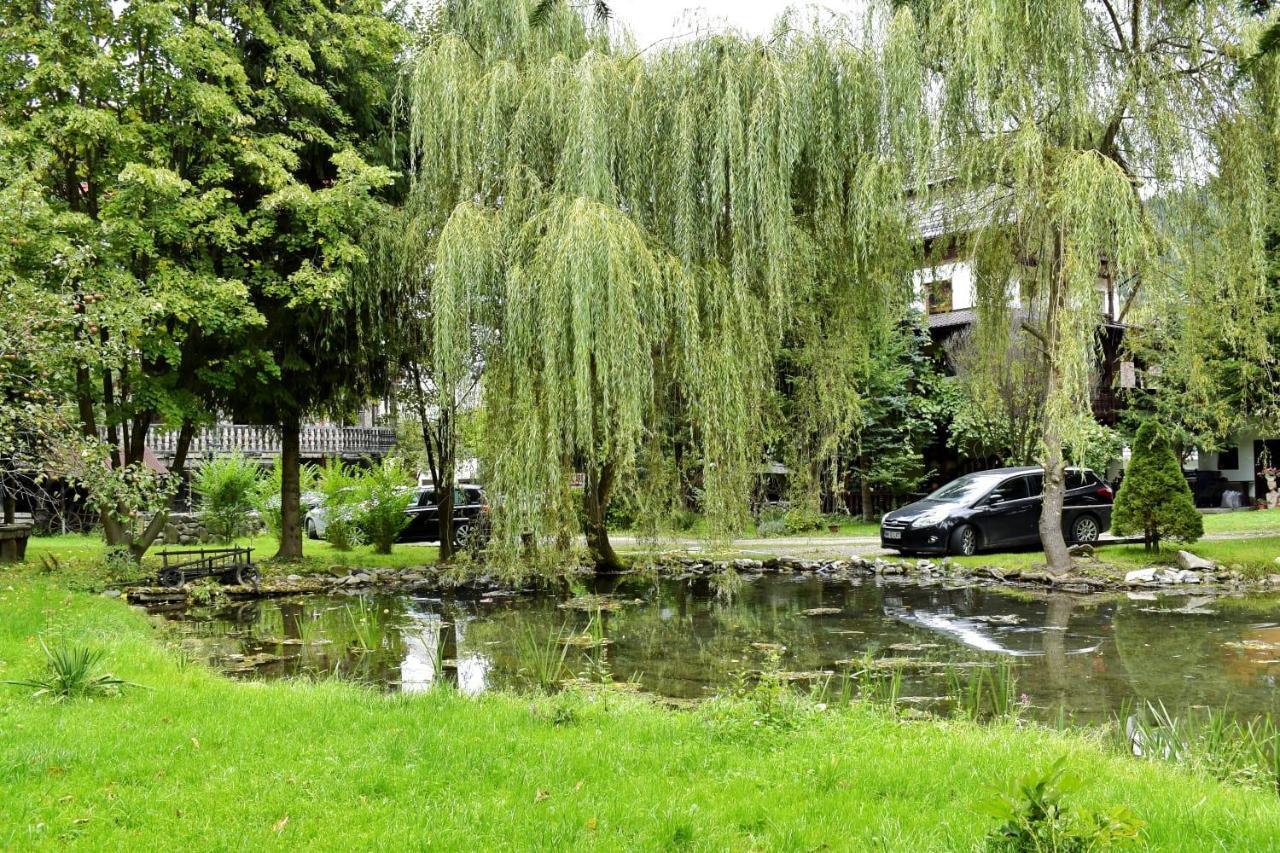 Pensiunea Perla Maramuresului Borşa Exteriér fotografie