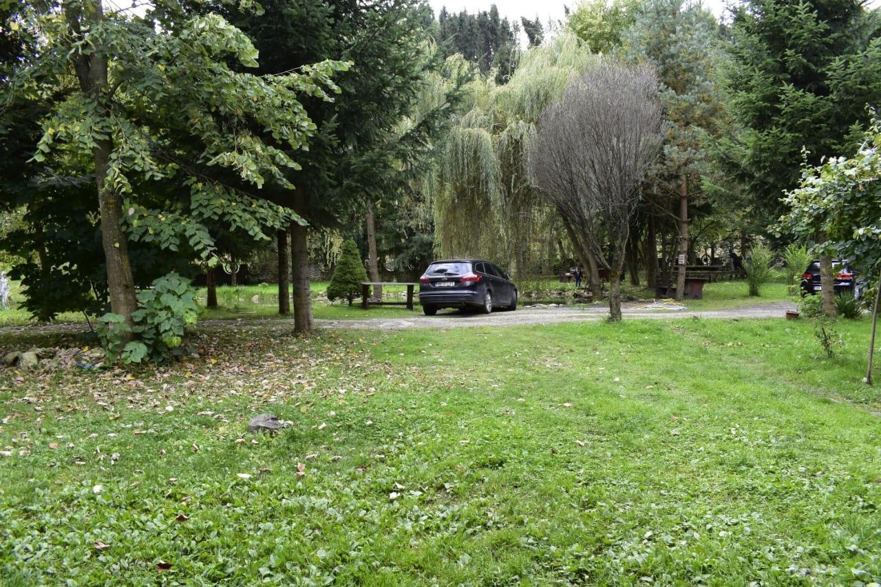 Pensiunea Perla Maramuresului Borşa Exteriér fotografie