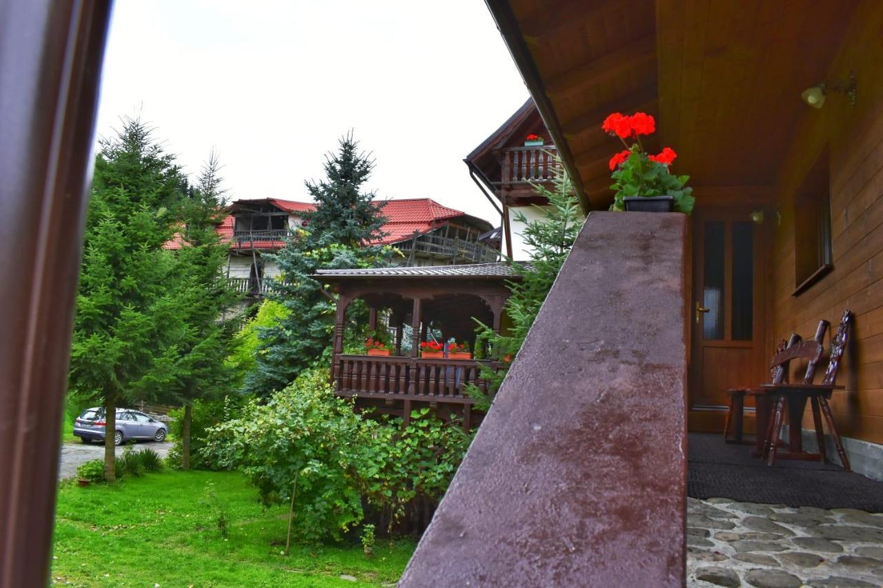 Pensiunea Perla Maramuresului Borşa Exteriér fotografie