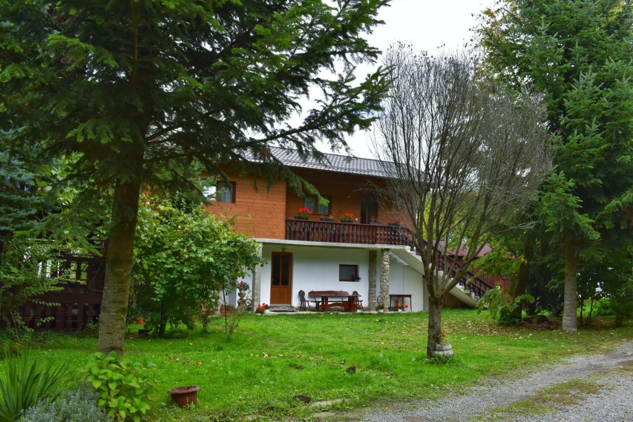 Pensiunea Perla Maramuresului Borşa Exteriér fotografie